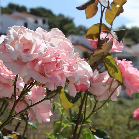 With A Parking Space Hvar - 5719 Hvar Town