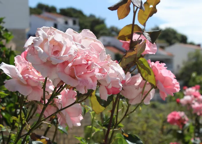With A Parking Space Hvar - 5719 Hvar Town