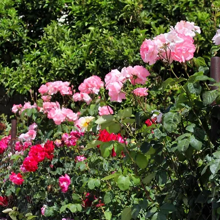 With A Parking Space Hvar - 5719 Appartement