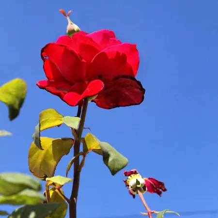 Appartement With A Parking Space Hvar - 5719
