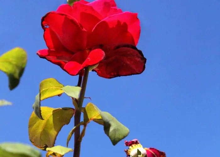 公寓 With A Parking Space Hvar - 5719