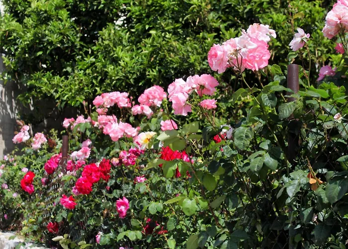 With A Parking Space Hvar - 5719 Апартаменты